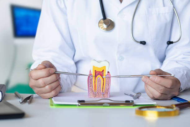 Best Pediatric Emergency Dentist in East Newark, NJ